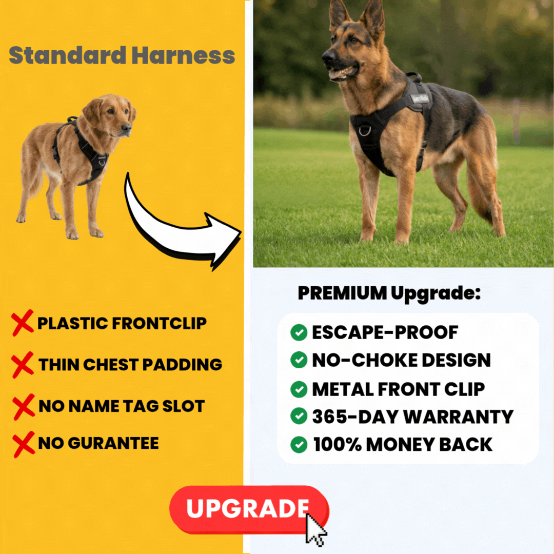 Upgrade To The Premium Harness 2x Padding, Less Rubbing