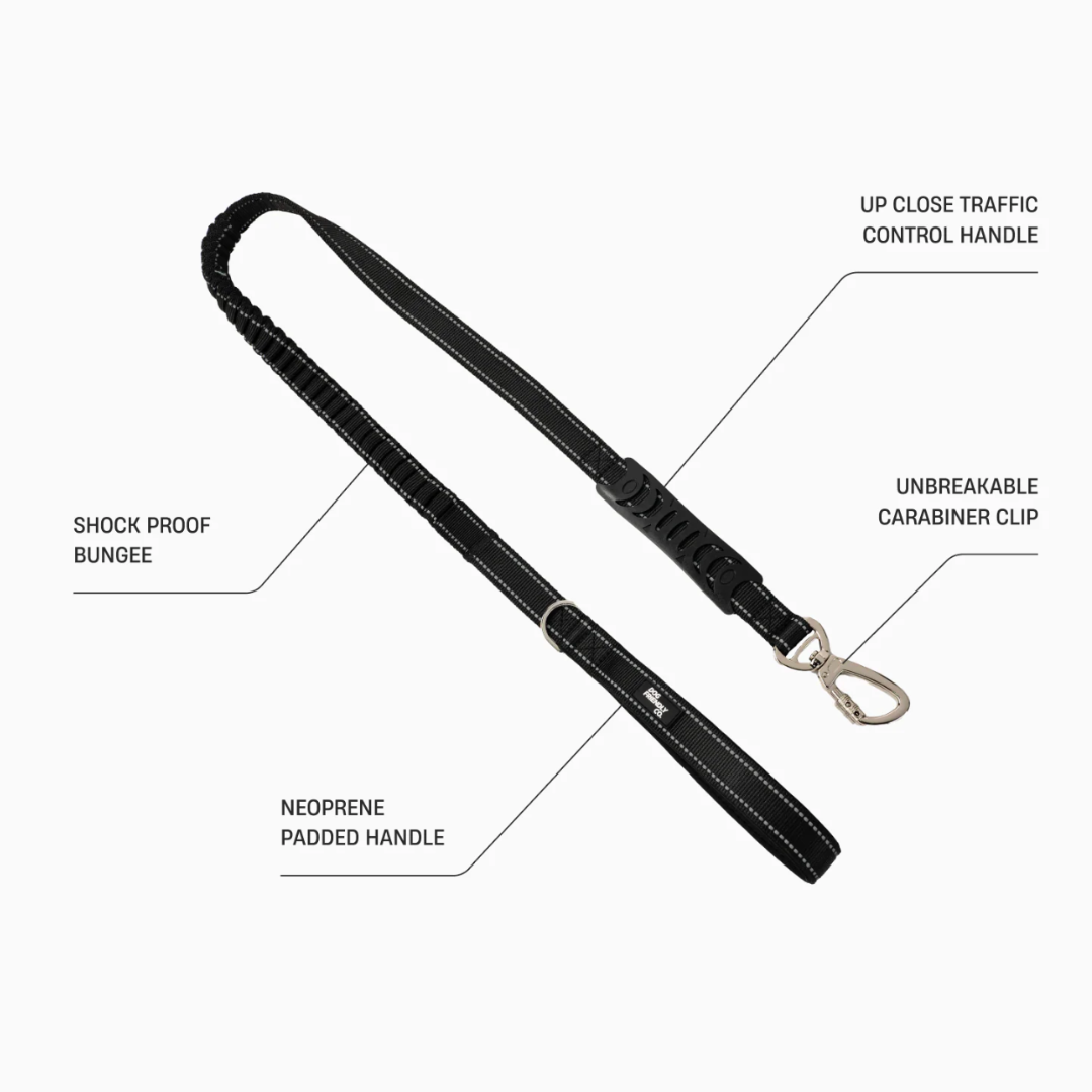Premium Bungee Leash