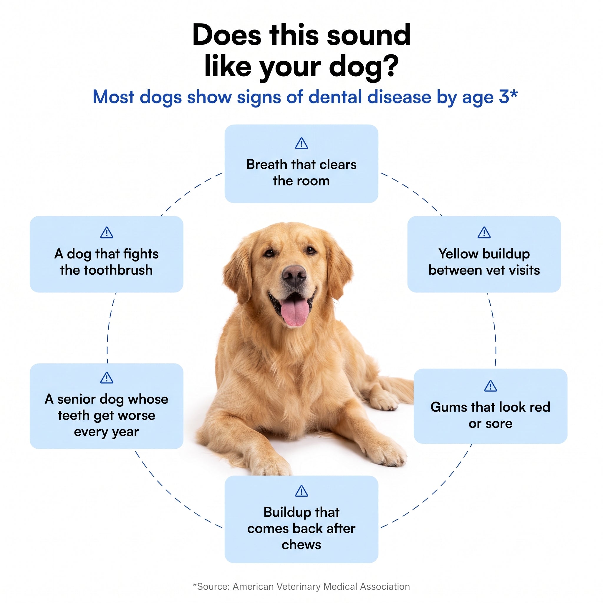 Dog Dental Powder