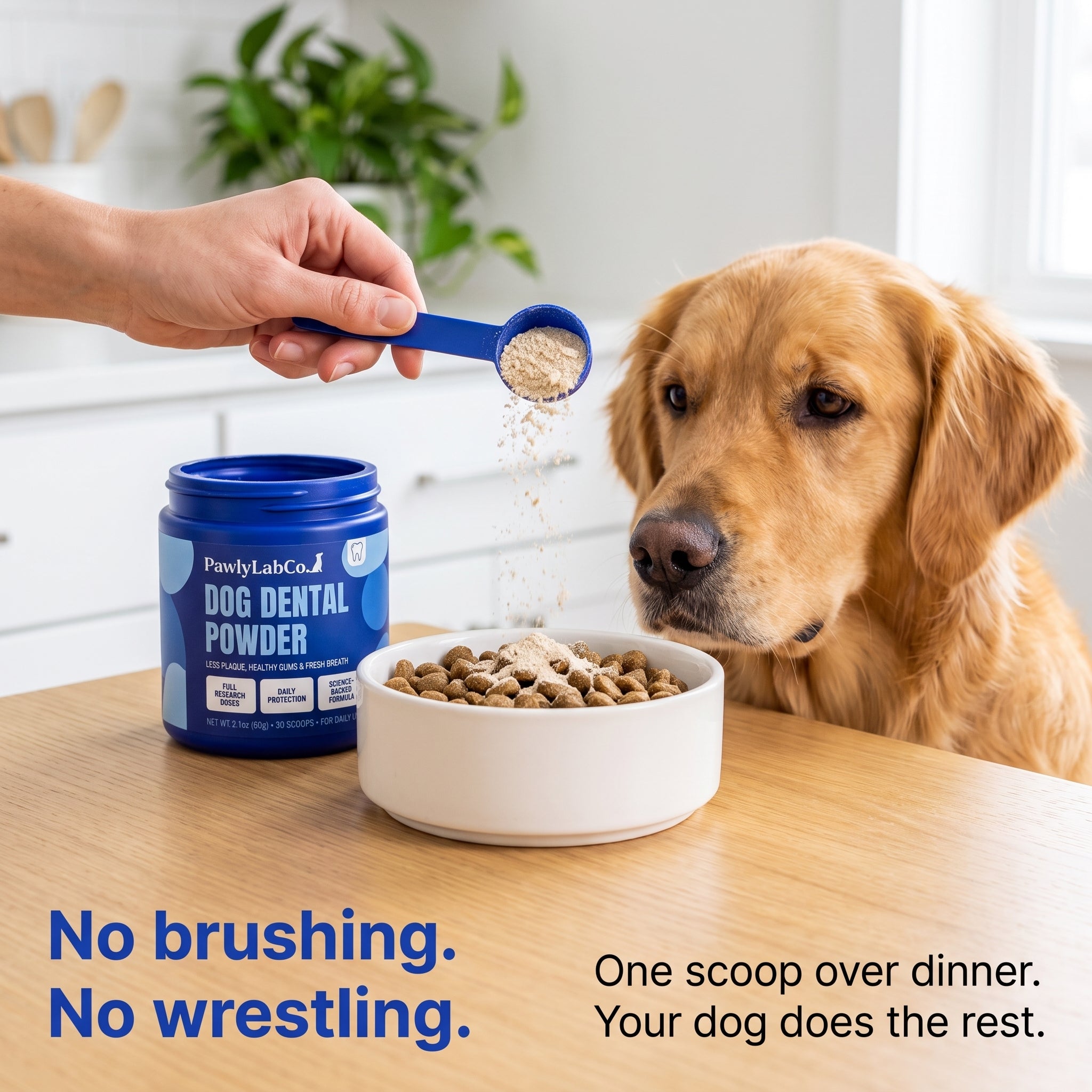 Dog Dental Powder