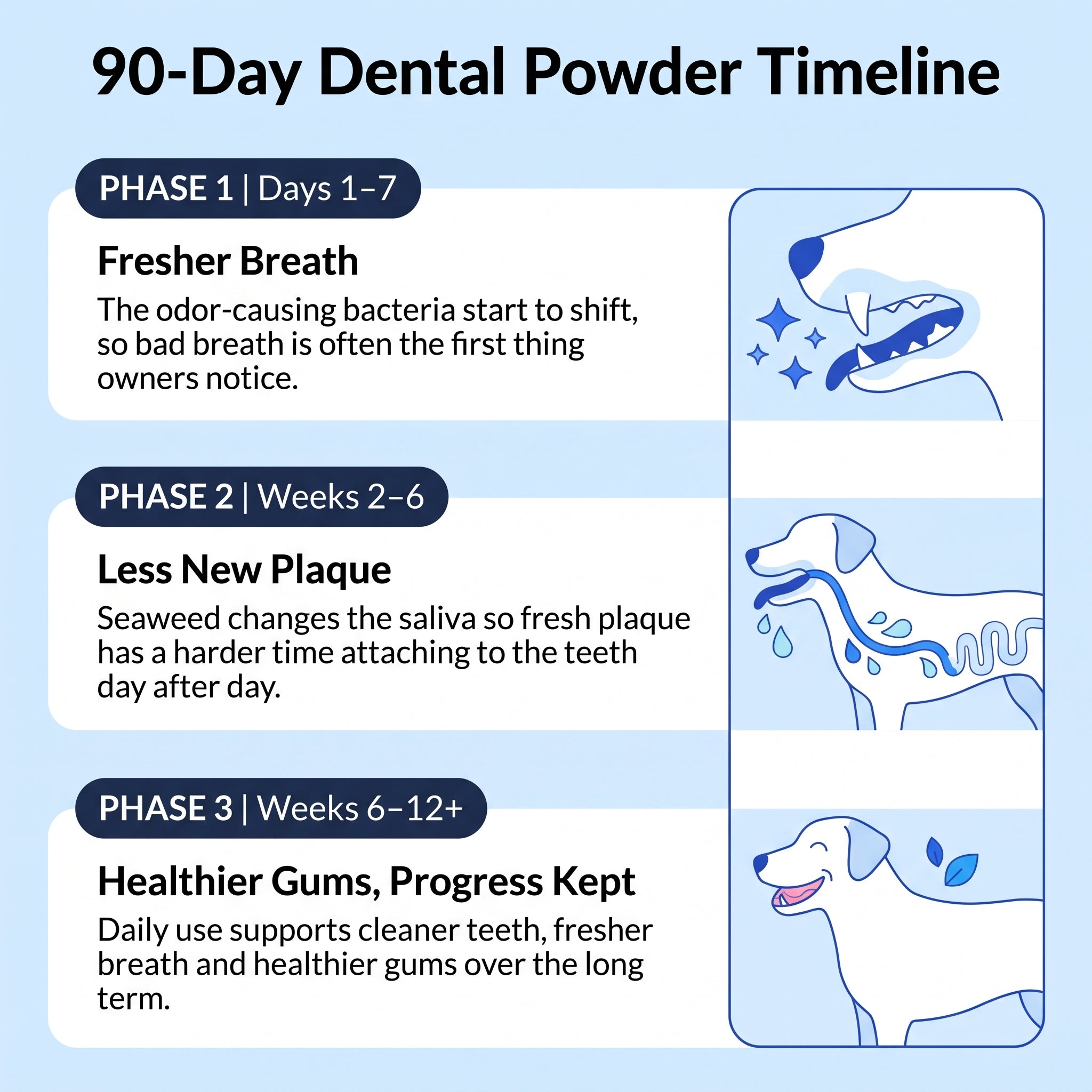 Dog Dental Powder