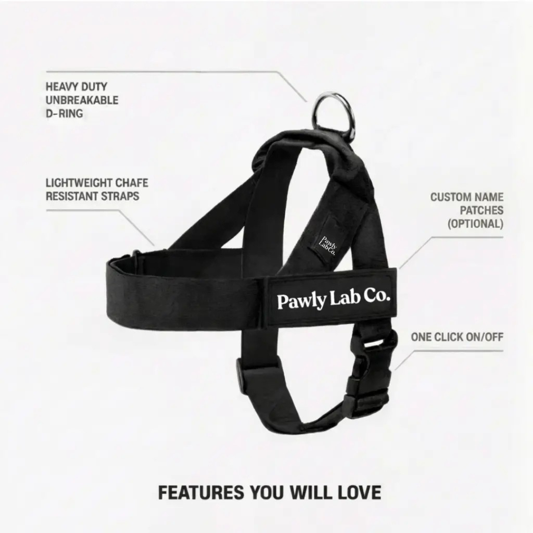 No-Pull Harness