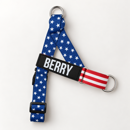 All American print, studio photo 1