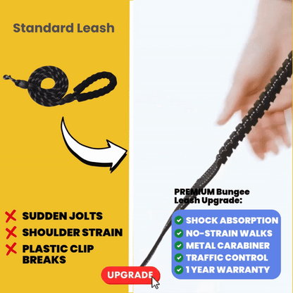 Premium Bungee Leash