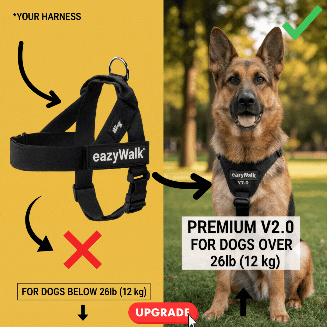 Upgrade to PREMIUM No-Pull Harness [LAST OFFER]