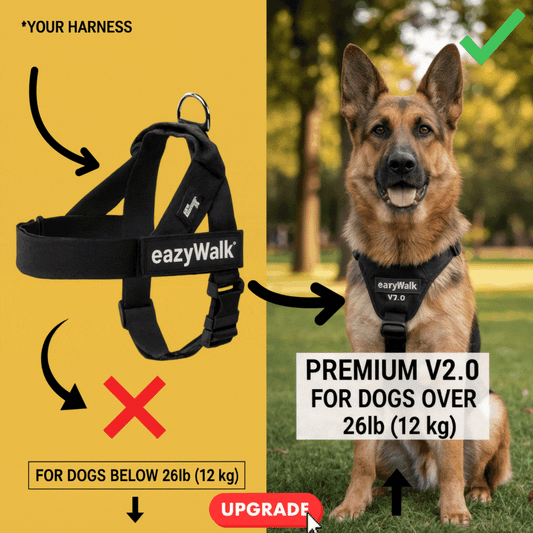 Upgrade to PREMIUM No-Pull Harness [LAST OFFER]