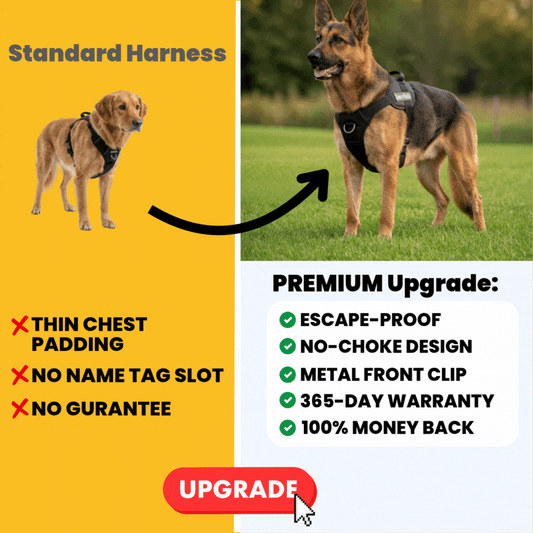 Upgrade To The Premium Harness (2x Padding, Less Rubbing)