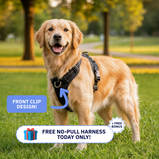 No-Pull Harness [Free Today]