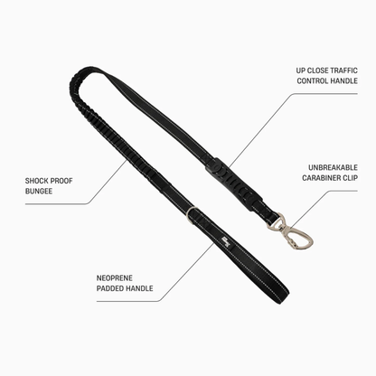 Premium Bungee Leash