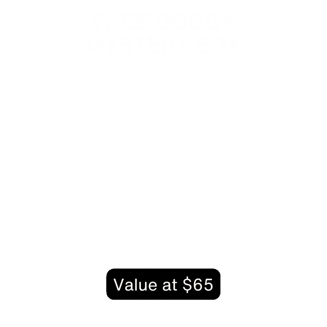 DOGGY MYSTERY BOX (Late Summer Edition)