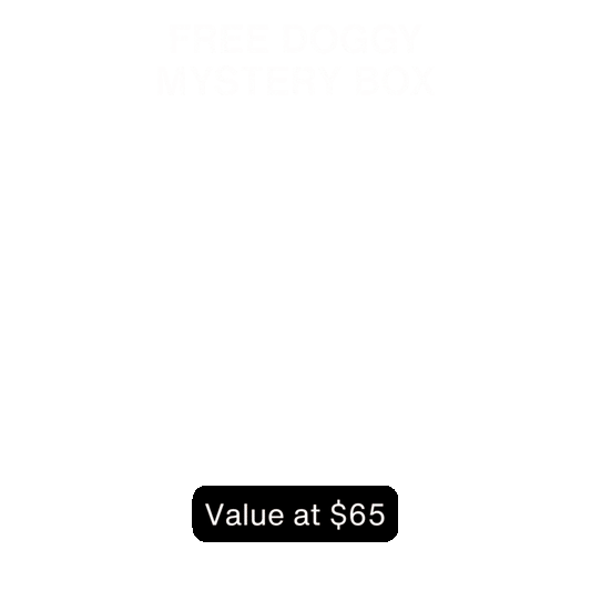 DOGGY MYSTERY BOX (Late Summer Edition)