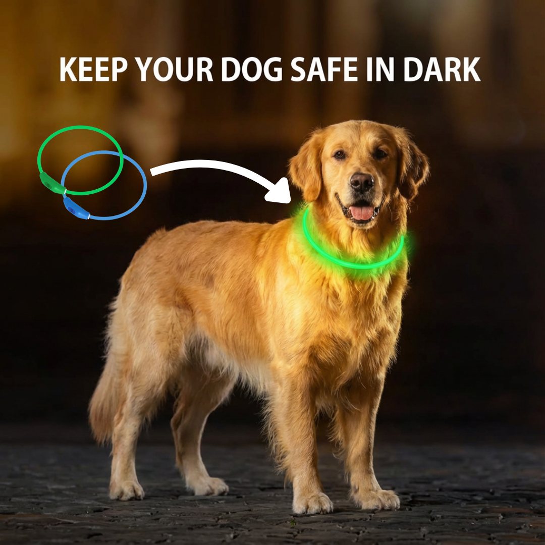 2-Pack LED Dog Collar for Night Walking (Green&Blue)