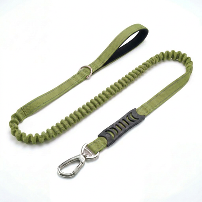 Premium Bungee Dog Leash