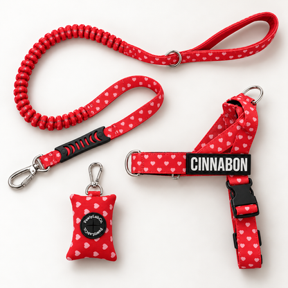 LoveBug print, matching set studio photo