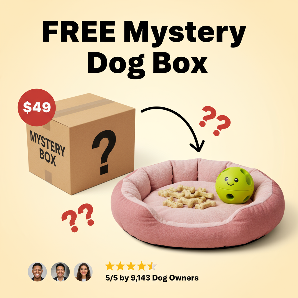 FREE Mystery Dog Box
